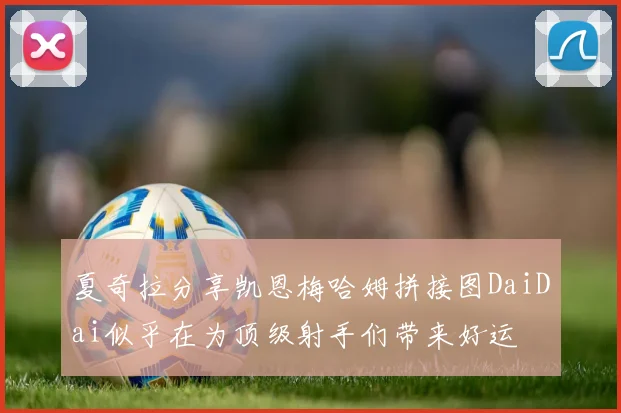 夏奇拉分享凯恩梅哈姆拼接图DaiDai似乎在为顶级射手们带来好运