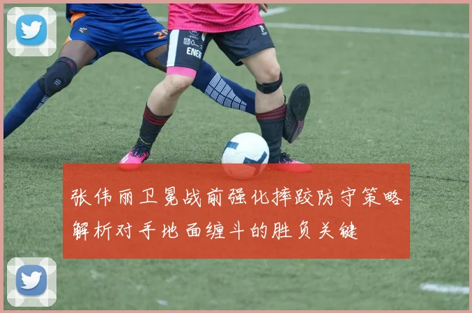 张伟丽卫冕战前强化摔跤防守策略解析对手地面缠斗的胜负关键