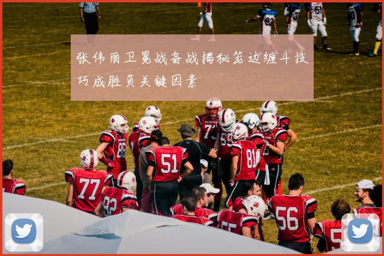 张伟丽卫冕战备战揭秘笼边缠斗技巧成胜负关键因素